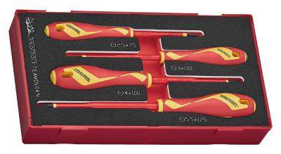 Skruvmejselsats Teng Tools TEAMDV04N 1000 V